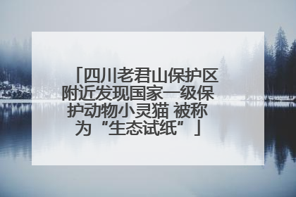 四川老君山保护区附近发现国家一级保护动物小灵猫 被称为“生态试纸”