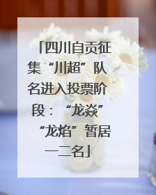 四川自贡征集“川超”队名进入投票阶段：“龙焱”“龙焰”暂居一二名