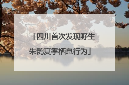 四川首次发现野生朱鹮夏季栖息行为