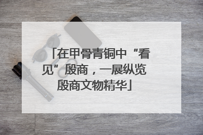 在甲骨青铜中“看见”殷商，一展纵览殷商文物精华