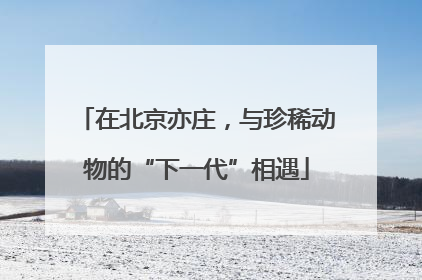 在北京亦庄，与珍稀动物的“下一代”相遇