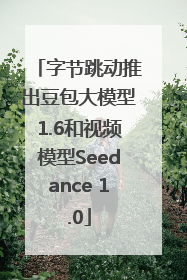 字节跳动推出豆包大模型1.6和视频模型Seedance 1.0