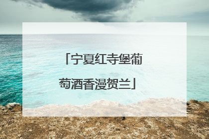 宁夏红寺堡葡萄酒香漫贺兰