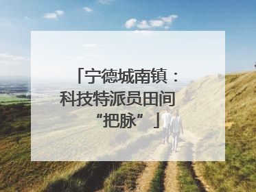 宁德城南镇：科技特派员田间“把脉”