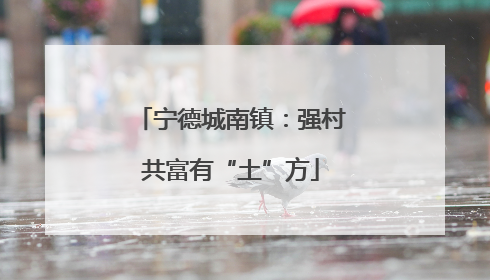 宁德城南镇：强村共富有“土”方