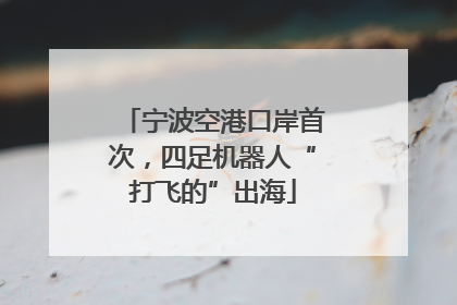 宁波空港口岸首次，四足机器人“打飞的”出海