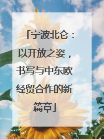 宁波北仑：以开放之姿，书写与中东欧经贸合作的新篇章
