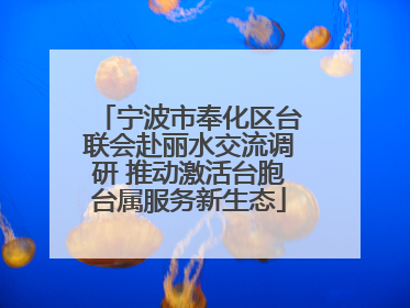 宁波市奉化区台联会赴丽水交流调研 推动激活台胞台属服务新生态
