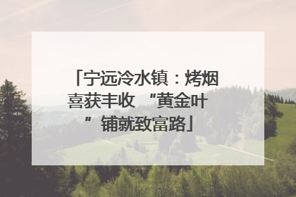 宁远冷水镇：烤烟喜获丰收 “黄金叶”铺就致富路
