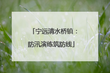 宁远清水桥镇：防汛演练筑防线