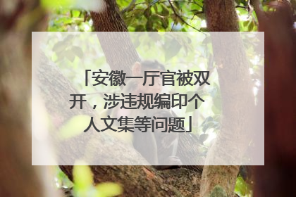 安徽一厅官被双开，涉违规编印个人文集等问题