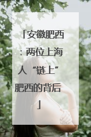 安徽肥西：两位上海人“链上”肥西的背后