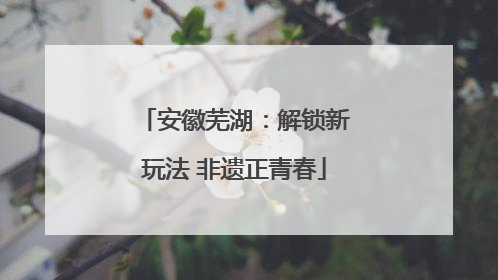 安徽芜湖：解锁新玩法 非遗正青春