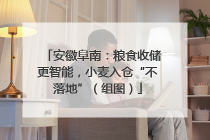 安徽阜南：粮食收储更智能，小麦入仓“不落地”（组图）