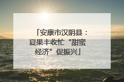 安康市汉阴县：夏果丰收忙“甜蜜经济”促振兴