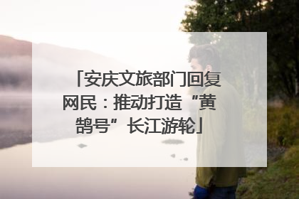 安庆文旅部门回复网民：推动打造“黄鹄号”长江游轮