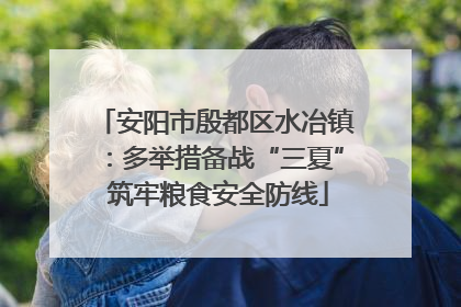 安阳市殷都区水冶镇：多举措备战“三夏” 筑牢粮食安全防线