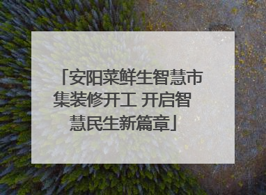 安阳菜鲜生智慧市集装修开工 开启智慧民生新篇章