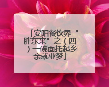 安阳餐饮界“胖东来”之（四）一碗面托起乡亲就业梦