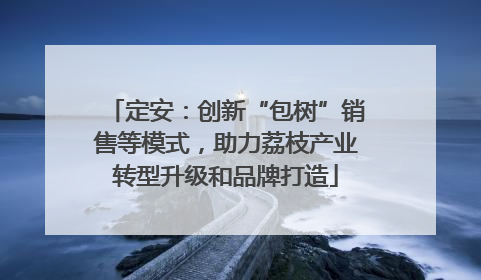 定安：创新“包树”销售等模式，助力荔枝产业转型升级和品牌打造