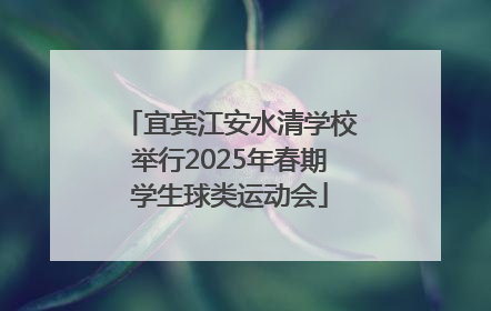 宜宾江安水清学校举行2025年春期学生球类运动会
