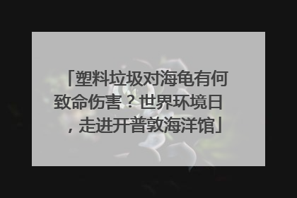 塑料垃圾对海龟有何致命伤害？世界环境日，走进开普敦海洋馆