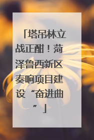 塔吊林立战正酣！菏泽鲁西新区奏响项目建设“奋进曲”