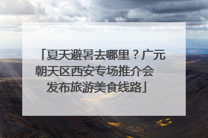 夏天避暑去哪里？广元朝天区西安专场推介会 发布旅游美食线路