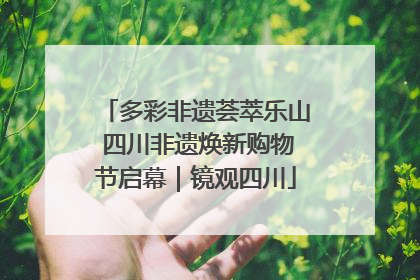 多彩非遗荟萃乐山 四川非遗焕新购物节启幕｜镜观四川