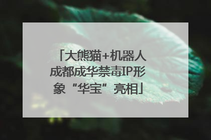 大熊猫+机器人 成都成华禁毒IP形象“华宝”亮相