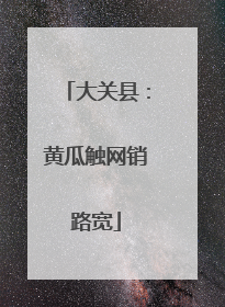 大关县：黄瓜触网销路宽