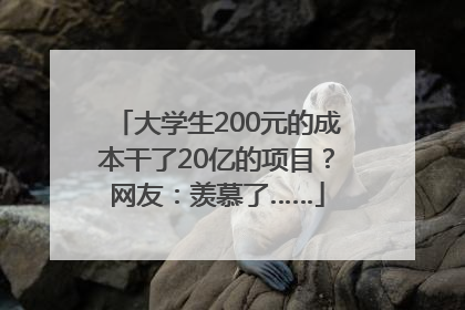 大学生200元的成本干了20亿的项目？网友：羡慕了……