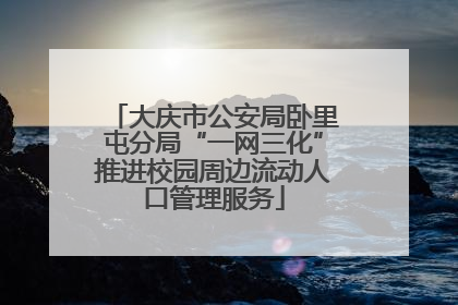 大庆市公安局卧里屯分局“一网三化”推进校园周边流动人口管理服务