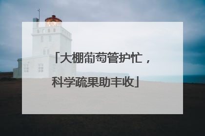 大棚葡萄管护忙，科学疏果助丰收