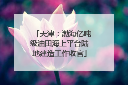 天津：渤海亿吨级油田海上平台陆地建造工作收官