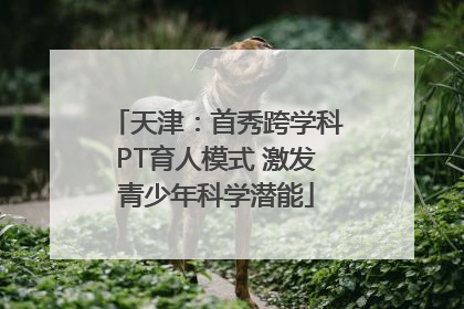 天津：首秀跨学科PT育人模式 激发青少年科学潜能