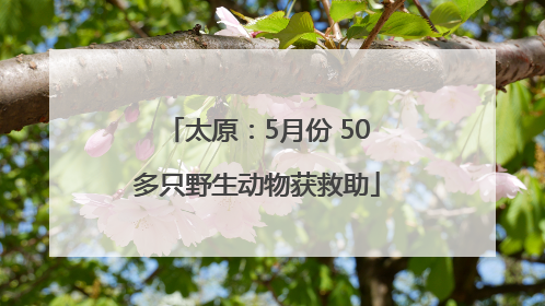 太原：5月份 50多只野生动物获救助