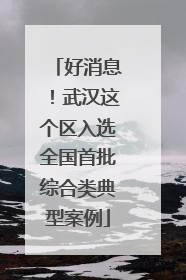 好消息！武汉这个区入选全国首批综合类典型案例