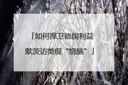 如何捍卫德国利益 默茨访美很“烧脑”