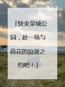 快来泉城公园，赴一场与荷花的浪漫之约吧！