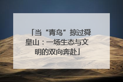 当“青鸟”掠过舜皇山：一场生态与文明的双向奔赴