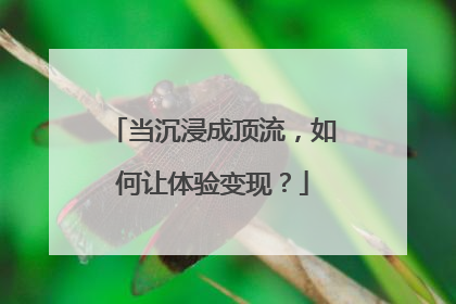 当沉浸成顶流，如何让体验变现？