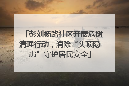 彭刘杨路社区开展危树清理行动，消除“头顶隐患”守护居民安全