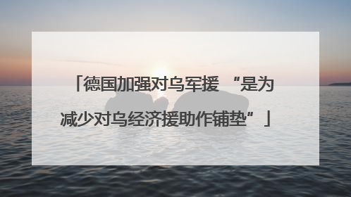 德国加强对乌军援 “是为减少对乌经济援助作铺垫”