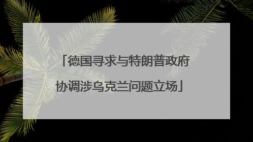 德国寻求与特朗普政府协调涉乌克兰问题立场