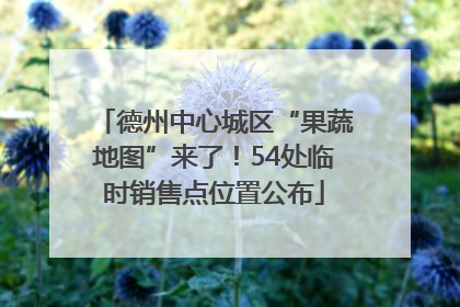 德州中心城区“果蔬地图”来了！54处临时销售点位置公布