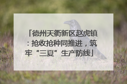 德州天衢新区赵虎镇：抢收抢种同推进，筑牢“三夏”生产防线