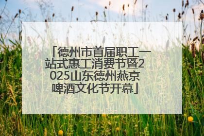 德州市首届职工一站式惠工消费节暨2025山东德州燕京啤酒文化节开幕