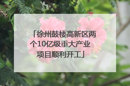 徐州鼓楼高新区两个10亿级重大产业项目顺利开工