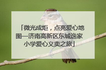 微光成炬，点亮爱心地图—济南高新区东城逸家小学爱心义卖之旅